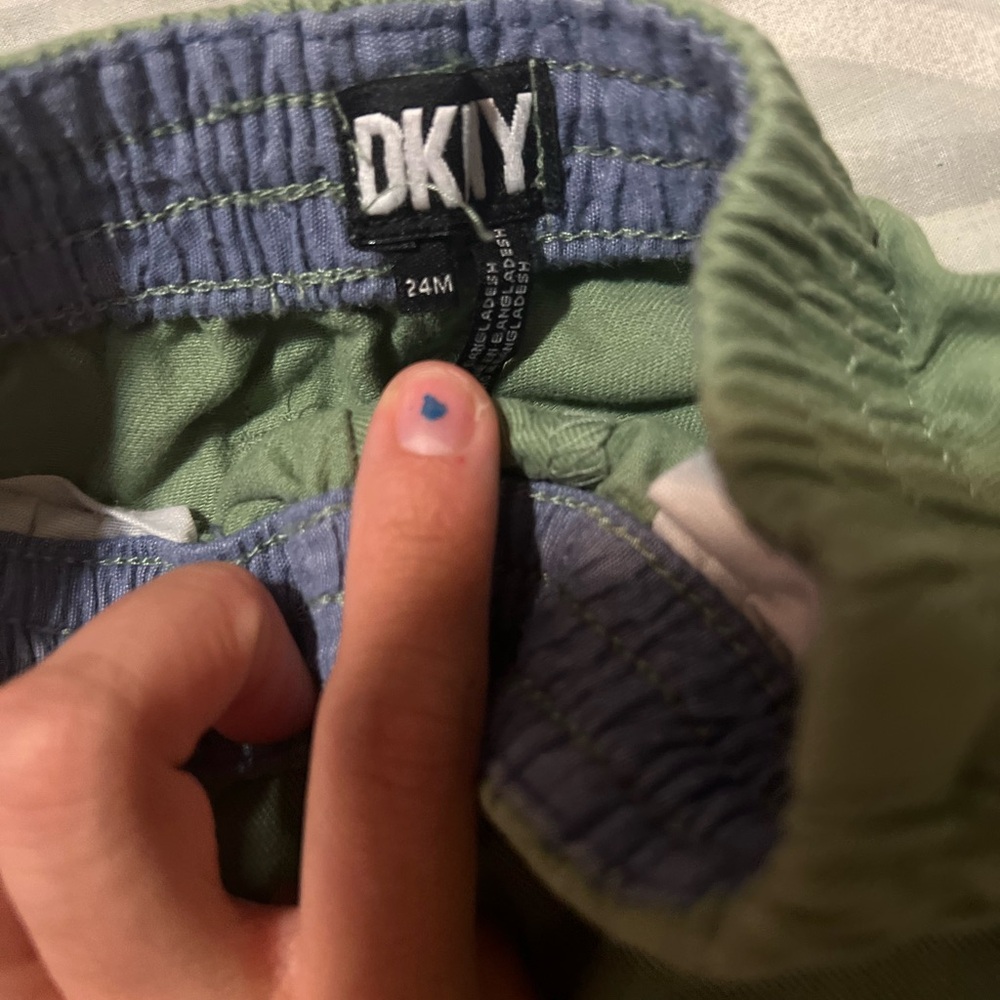 DKNY Two-Tone Green and Blue Shorts